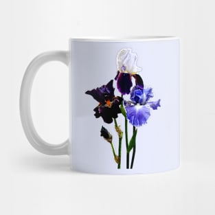 Three Kinds of Irises Mug